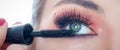 Makeup professional artist applying mascara on lashes of model eye Royalty Free Stock Photo