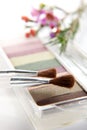 Makeup set closeup Royalty Free Stock Photo