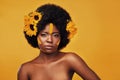 Makeup, sunflower and paint with portrait of black woman in studio for beauty, creative or spring. Natural, cosmetics Royalty Free Stock Photo