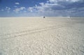 Makgadikgadi Pan, Botswana. Royalty Free Stock Photo