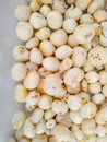 Makhana, also called as Lotus Seeds or Fox Nuts are popular dry snacks from India, isolate on white background Royalty Free Stock Photo