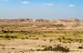 Makhtesh Gadol, Negev desert in the early spring, Israel Royalty Free Stock Photo