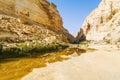 Makhtesh Ramon crater mountains park view trekking path with water - geological site in Negev desert