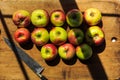 Making applesauce from organic McIntosh apples