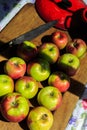 Making applesauce from organic McIntosh apples