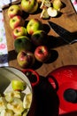 Making applesauce from organic McIntosh apples