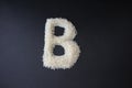 Making the B capital letter by formed rice seeds