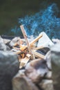 Making a bonfire: Small flame on a camping trip, adventure outdoors