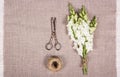 Making a bouquet. White flowers and old scissors Royalty Free Stock Photo