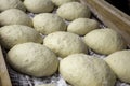 Making bread dough Royalty Free Stock Photo