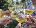 Making a celebratory toast with sparkling wine. Female hands holding glasses of champagne Royalty Free Stock Photo