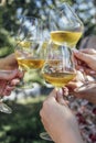 Making a celebratory toast with sparkling wine. Royalty Free Stock Photo