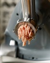 Making chicken thight mince on electric meat grinder in the kitchen Royalty Free Stock Photo