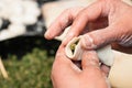 Making chinese dumpling Royalty Free Stock Photo