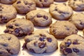 Making of Chocolate Chip Cookies