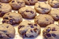 Making of Chocolate Chip Cookies