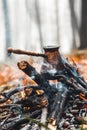 Making coffee at the stake. Make coffee or tea on the fire of nature. Burned fire. A place for fire. Royalty Free Stock Photo
