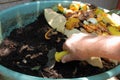 Making compost from a residential earthworm farm
