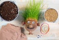 Making of cute homemade grass head toy with various supply tools.