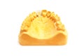 Making dental implants. Jaw model for accurate restoration of a lost tooth