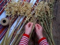 Making of Didukh of spikelets oats - Christmas, symbolic and ceremonial sheaf Ukrainian, symbolizing prosperity in the house and i