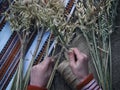 Making of Didukh of spikelets oats - Christmas, symbolic and ceremonial sheaf Ukrainian, symbolizing prosperity in the house and i