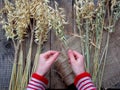 Making of Didukh of spikelets oats - Christmas, symbolic and ceremonial sheaf Ukrainian, symbolizing prosperity in the house and i