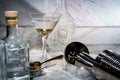 Dirty Gin Martini Shaken Royalty Free Stock Photo