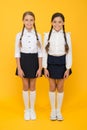 Making everything right. Excellent pupils. Girls perfect uniform outfit on yellow background. According to school rules