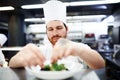 Making food beautiful. a chef putting the final touches on a dinner plate in a professional kitchen. Royalty Free Stock Photo