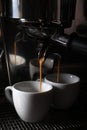 Making fresh aromatic espressos using professional coffee machine in cafe, closeup Royalty Free Stock Photo