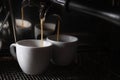 Making fresh aromatic espressos using professional coffee machine in cafe, closeup. Space for text Royalty Free Stock Photo