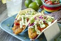 Making of Fresh Fish Tacos Royalty Free Stock Photo