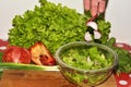 Making fresh vegetable salad. Fresh raw vegetable ingredients for healthy cooking or salad making over rustic wood background, top Royalty Free Stock Photo