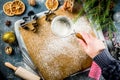 Making gingerbread cookie Royalty Free Stock Photo