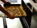 Making of Gingerbread Cookies for Christmas Royalty Free Stock Photo