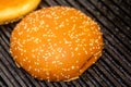 Making and grilling hamburger buns with sesame on coal grill. Preparing roasted food on barbecue BBQ grill in outdoor