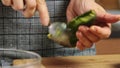 Making a guacamole with vegies recipe