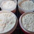 Making halumi cheese and ricotta with your own hands. Step-by-step photos of the process. Settling and self-pressing of