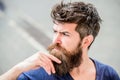 Making hard decision. Bearded man concentrated face. Thoughtful mood concept. Making important life choices. Man with Royalty Free Stock Photo
