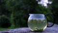 Making herbal tea. Steaming tea.