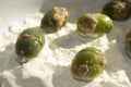 Making homemade ascolana olives