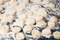 Making homemade gnocchi. Uncooked trickled pastries in flour