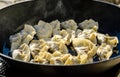 Making homemade Gyoza - Japanese Dumplings in frying pan. Royalty Free Stock Photo