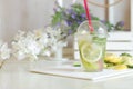 A plastic cup with a mojito on a table in a light kitchen, the ingredients are nearby Royalty Free Stock Photo