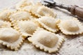 Making homemade ravioli