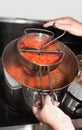 Making Homemade Tomato Sauce Royalty Free Stock Photo