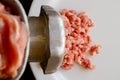 Making minced meat with a meat grinder and red raw mince on a white plate, top view