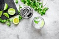 Making mojito on stone background top view