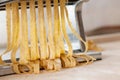 Making noodles with pasta machine from homemade spelt dough.